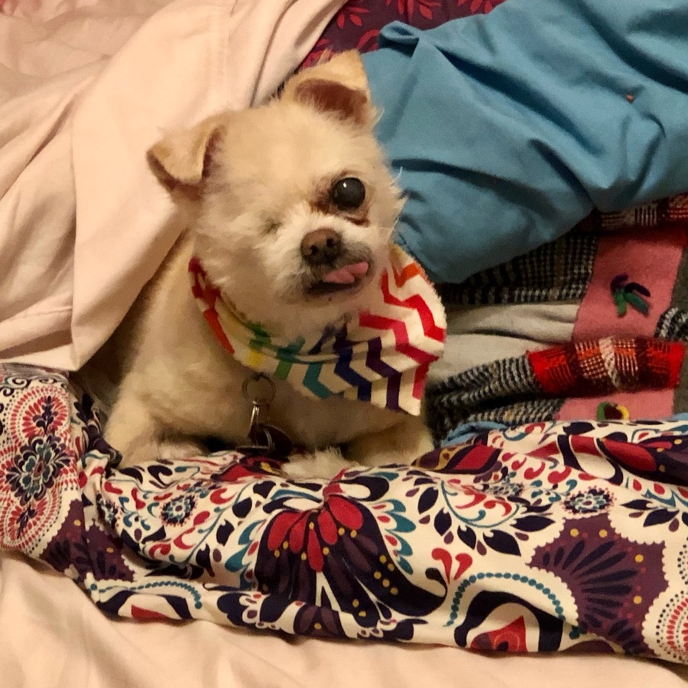 🌟❤️JEFFERSON❤️🌟 - Picture 13 of 13